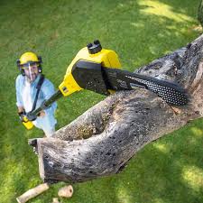 Best Aeration Services  in Searles Valley, CA